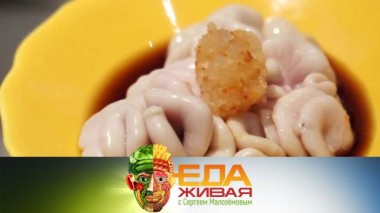 Живая еда / Выпуски / Влияние молок на либидо, польза уксуса и мифы об абрикосах 04.09.2020