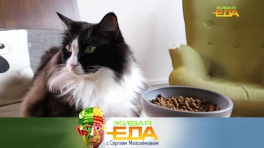 Живая еда / Выпуски / Вред дешевого корма для животных и жуткие находки в конфетах 05.03.2022