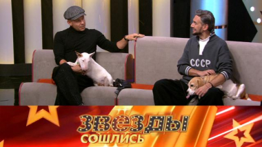 Любимые морды 21.12.2025